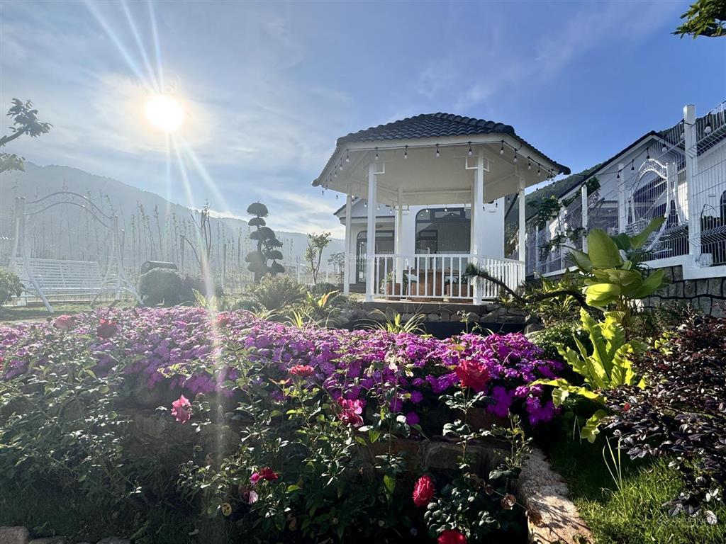 Nhà vườn mới ven đà lạt, cách chợ đêm đà lạt 31km| 507m2  3.5 tỷ