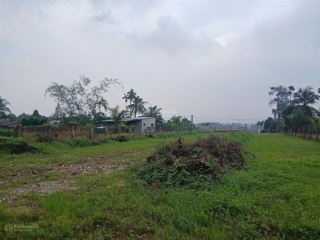 Bán đất mặt tiền đường nguyễn hữu cảnh nối dài 1/ hùng vương, cây luc, ngang 30m đường nối cao tốc