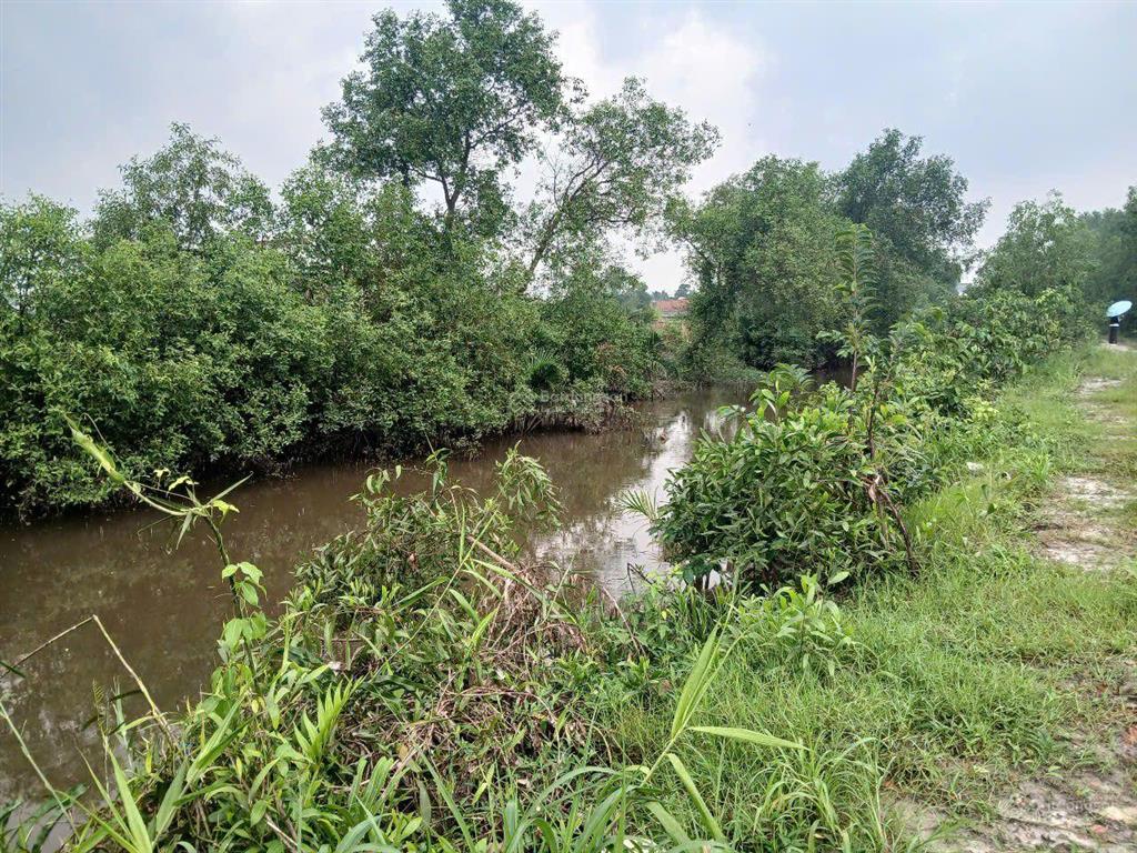 Bán đất mặt tiền đường nguyễn hữu cảnh nối dài 1/ hùng vương, cây luc, ngang 30m đường nối cao tốc