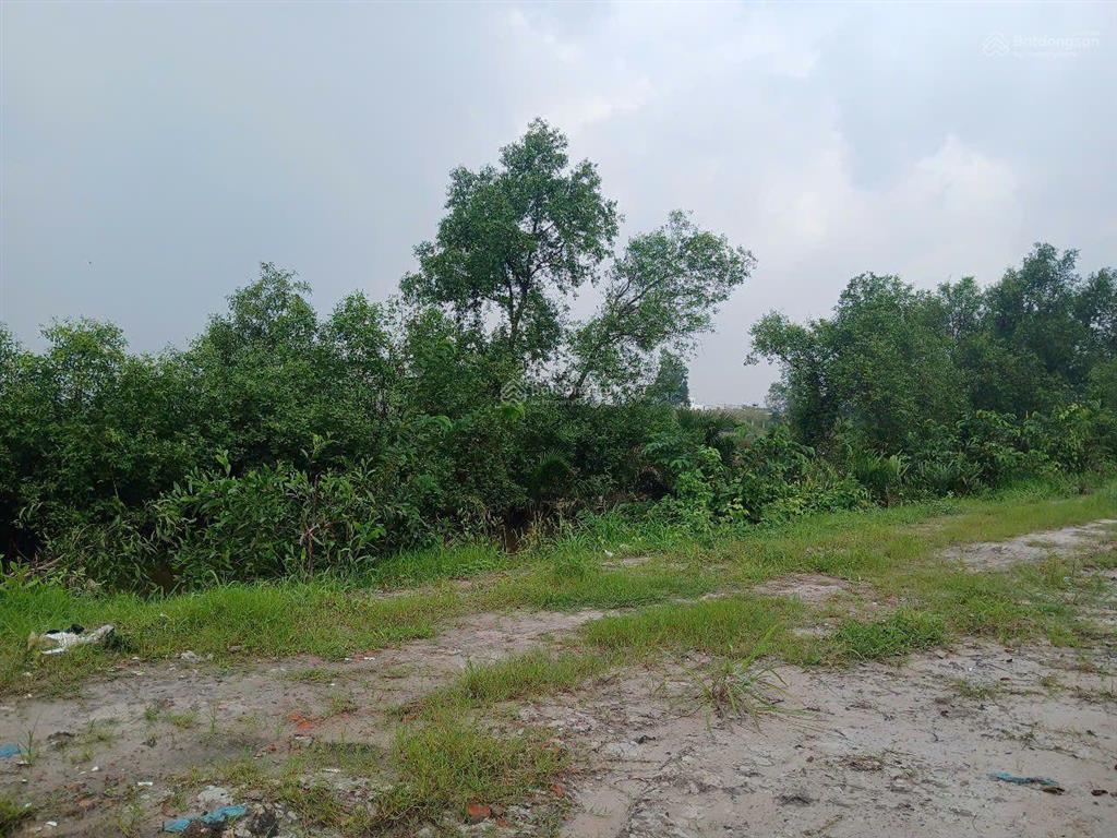 Bán đất mặt tiền đường nguyễn hữu cảnh nối dài 1/ hùng vương, cây luc, ngang 30m đường nối cao tốc