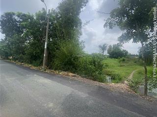 Hạ giá bán gấp mặt tiền đường đê số 1, bình chánh. giá chỉ 5 triệu/m2 có thương lượng