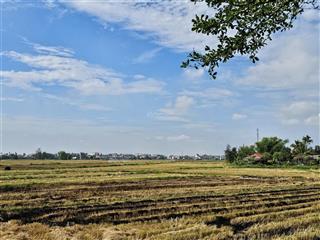 Siêu phẩm view lúa tuyệt đẹp ngay khu cận trung tâm thành phố hội an. mặt đường ô tô view ruộng lúa