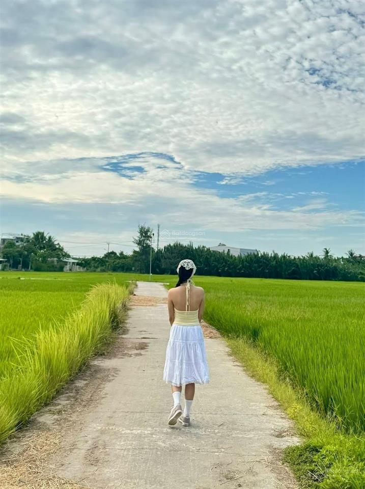 Bán biệt thự view ruộng lúa tại hội an, đà nẵng. biệt thự dòng tiền ngay lòng phố cổ hội an