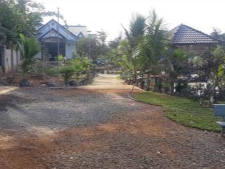 Ai đang tìm đất vườn tổng 1.856 m2