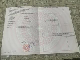 Cành chẽ hoàng tân đón sóng nút giao hạ long xanh 0969 766 ***