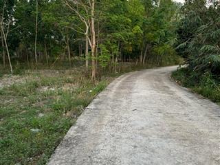 Hơn 1 mẫu cao su minh thành 71m mặt tiền đường 36