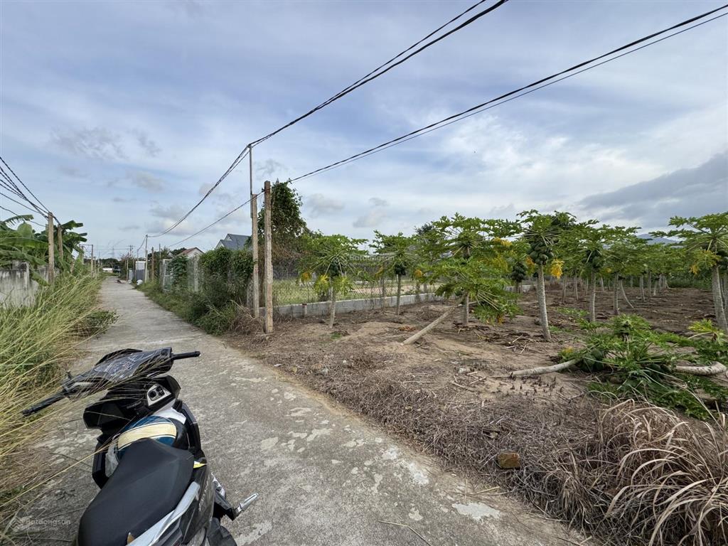 Bán nhanh lô đất đẹp giá rẻ cam tân  cam lâm kề canh các khu phức hợp sân goflvin