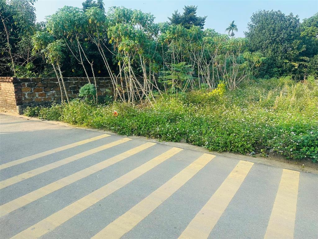 Trục chính, full thổ cư 137,3m2, phú cát