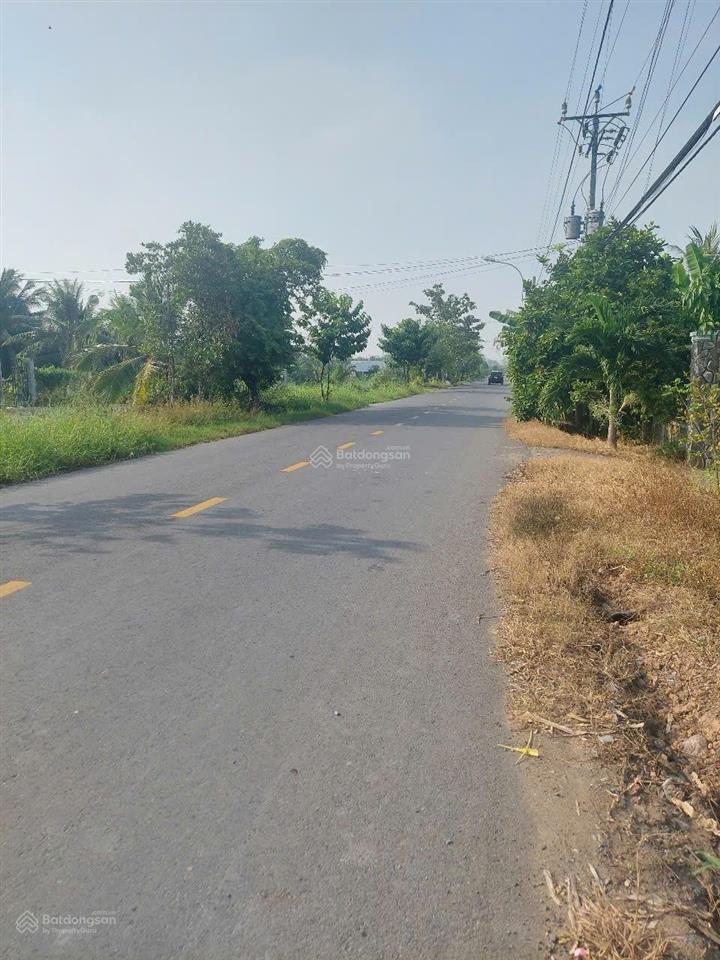 Bán đất tân chánh, cần đước, long an, đất lúa 1695m2