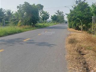 Bán đất tân chánh, cần đước, long an, đất lúa 1695m2