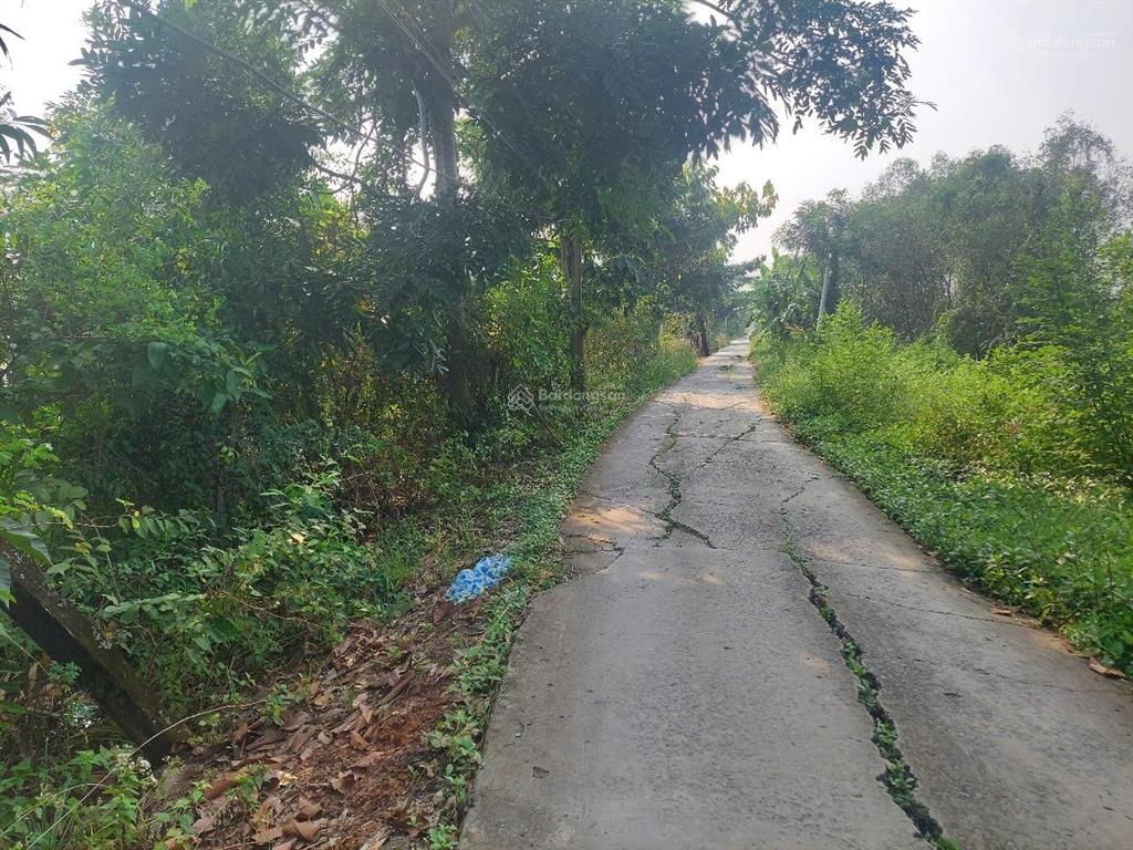 Bán đất tân chánh, cần đước, long an, đất lúa 1695m2