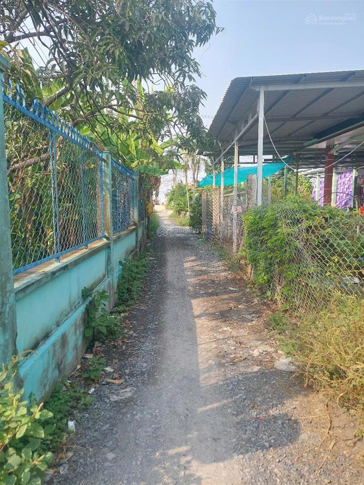 Bán đất tân chánh, cần đước, long an, đất lúa 1695m2