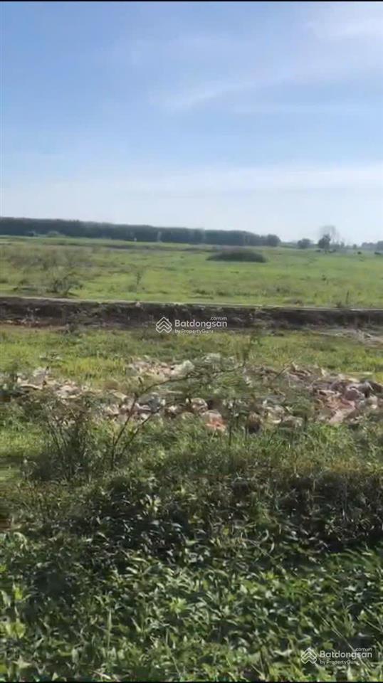 Bán 1.74ha đất cây hàng năm có 92m mặt tiền đường nhựa lộ 8m long tân  đất đỏ  tp. hcm