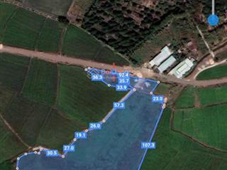 Cần bán 1.74ha đất cây hàng năm mặt tiền đường nhựa long tân  đất đỏ  br vt