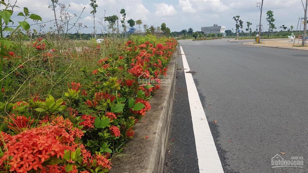 Đất trung tâm thành phố bến cát dự án mega city 1 cầu đò ngay chợ bến cát mặt tiền đường hùng vương