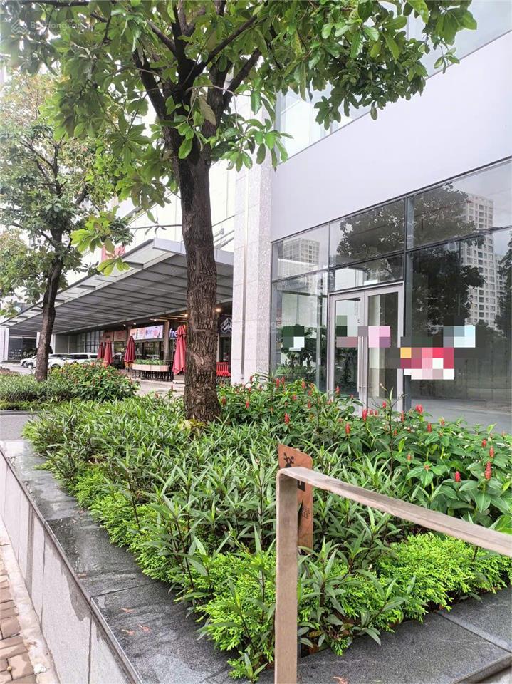 Cho thuê shophouse phú mỹ hưng quận 7 55 triệu/th, 200m2