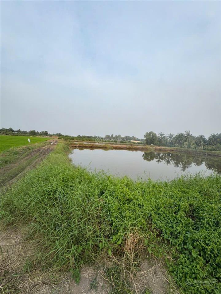 Cần bán 1ha (hơn 10.000m2) đất nông nghiệp ở xã tân bửu, huyện bến lức tỉnh long an cũ