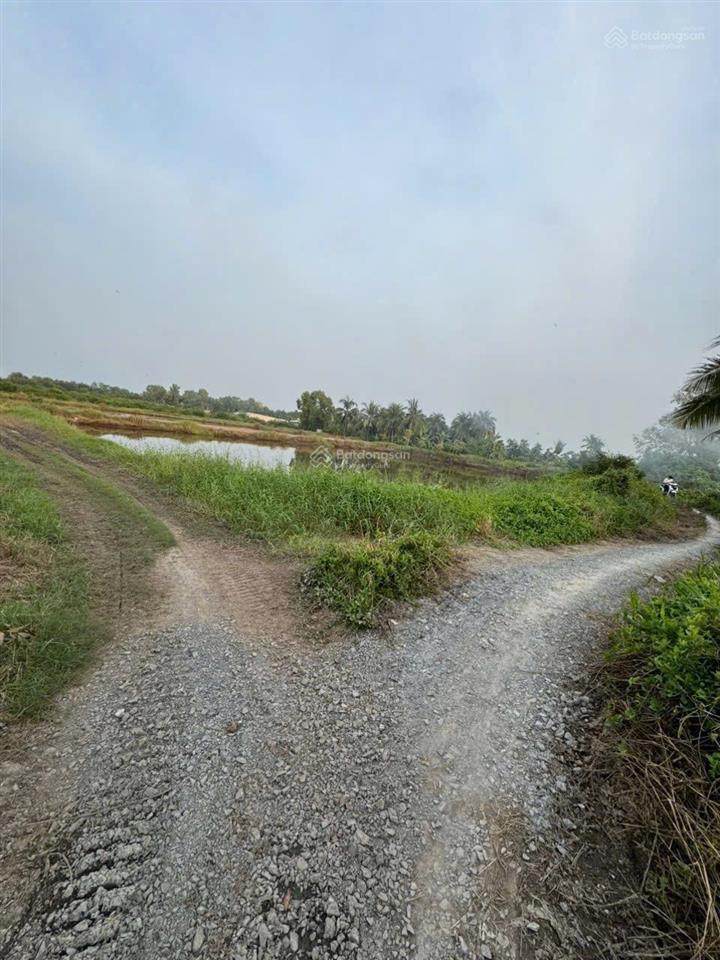 Cần bán 1ha (hơn 10.000m2) đất nông nghiệp ở xã tân bửu, huyện bến lức tỉnh long an cũ