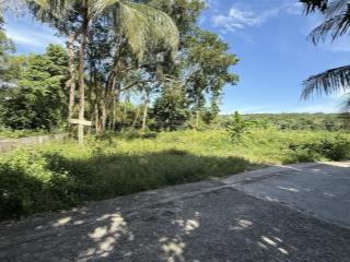 Bán 501m2 ngay phố tây cửa lấp, trần hưng đạo, mặt tiền 20m, quy hoạch đất ở