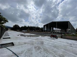 Xưởng mới 100% 1400m2 vp 50m2. pccc vách tường nghiệm thu, đường cont, sx nhiều ngành nghề
