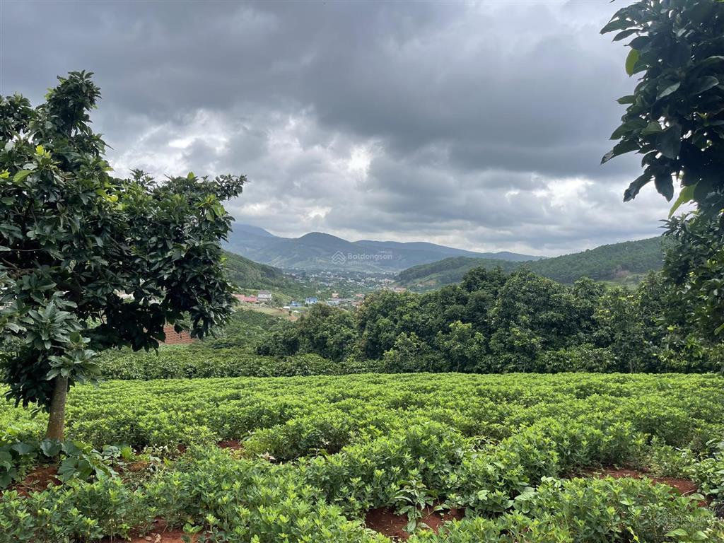 1.25 tỷ sở hữu ngay lô đất nam ban cách thác voi chỉ 3km view cao thoáng pháp lý chuẩn