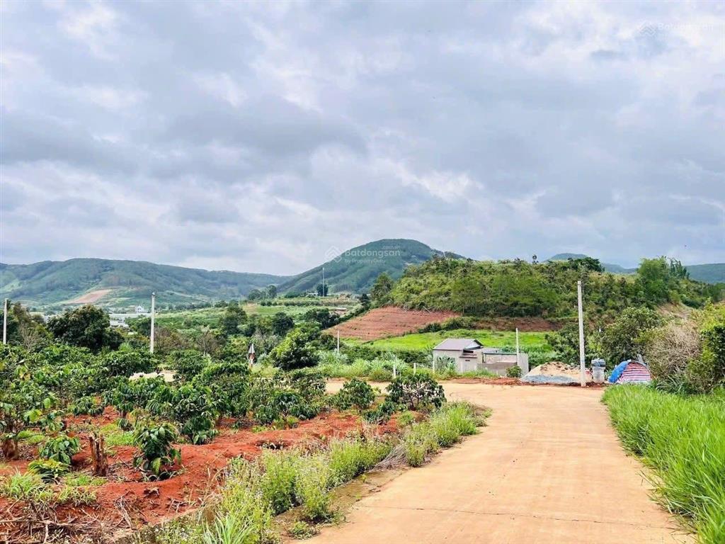 Hàng hiếm nhà đầu tư không nên bỏ qua lô góc 2 mặt tiền 4.190m² đã lên 2.100m² thổ cư