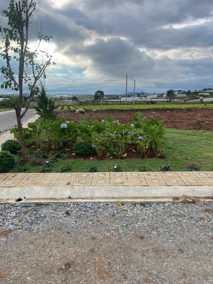 Lô góc mặt tiền 25m tại trung tâm đơn dương lâm đồng giá tốt để đầu tư định cư nghỉ dưỡng