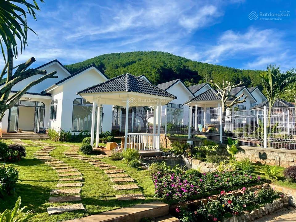 Căn villa nghỉ dưỡng tựa lưng đồi  view đồi thông săn mây ven đà lạt giá rẻ  0385 057 ***