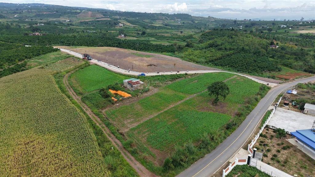 Cực sốc lô góc hiếm mặt tiền đường nhựa diện tích 1000m2 chỉ 1.45 tỷ 0385 057 ***