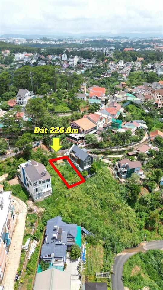 Bán đất view rừng thông nhìn điện gió khu vực khe sanh, đà lạt, lâm đồng