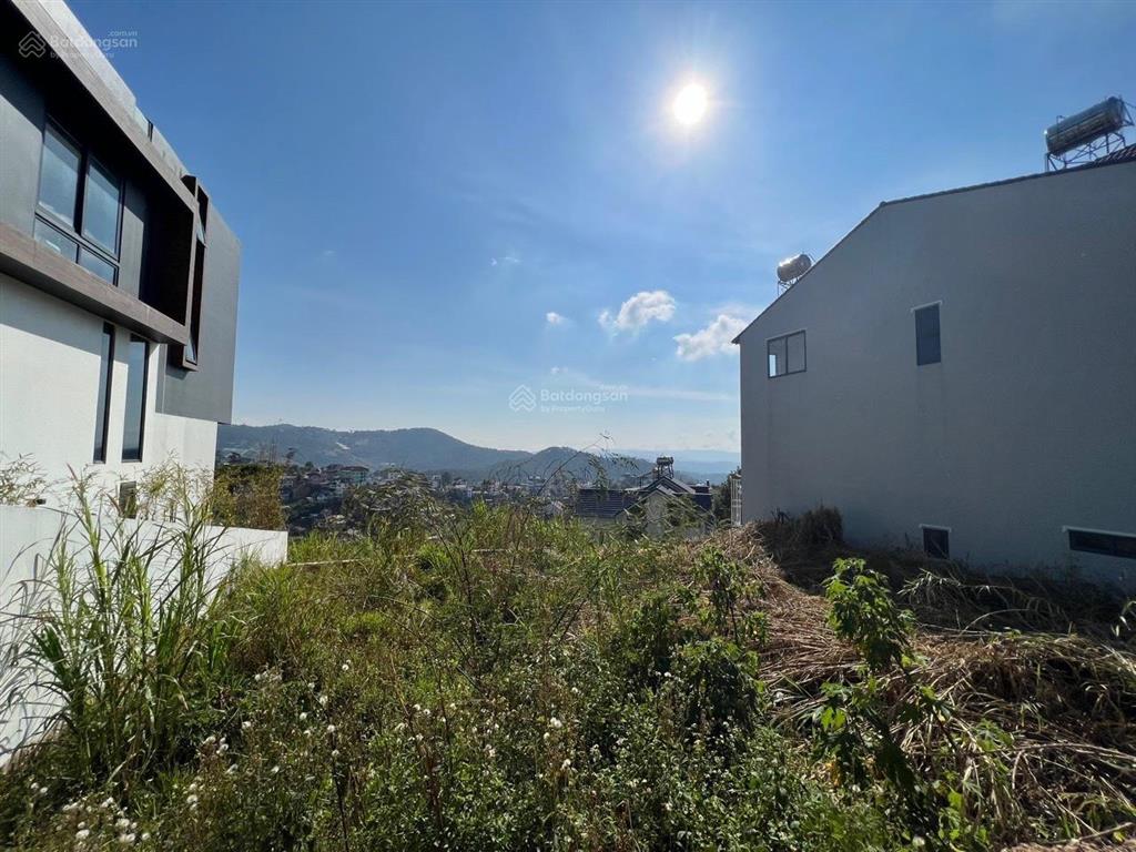 Bán đất view rừng thông nhìn điện gió khu vực khe sanh, đà lạt, lâm đồng