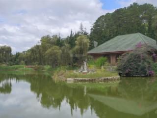 Bán dự án nghỉ dưỡng gia đình có hồ, rừng thông bao bọc phường langbiang, đà lạt, lâm đồng