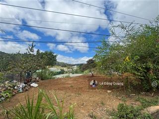 Bán đất biệt thự mặt tiền view rừng thông đường hoàng văn thụ thành phố đà lạt