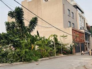 Hot! cho thuê khuôn đất lớn, đẹp ngay phường an phú q2, dt 300m2, giá 30tr/th tl, kinh doanh tự do