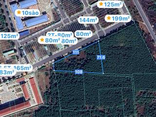 Bán 23.180m mt đường liên cảng 80m, đất đẹp kinh doanh, giá chỉ 7 triệu/m2