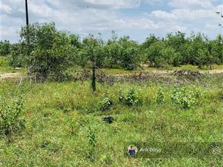 Cc bán nền biệt thự 510m2 mặt tiền đường 25c nguyễn ái quốc, đường cổng chính sân bay long thành