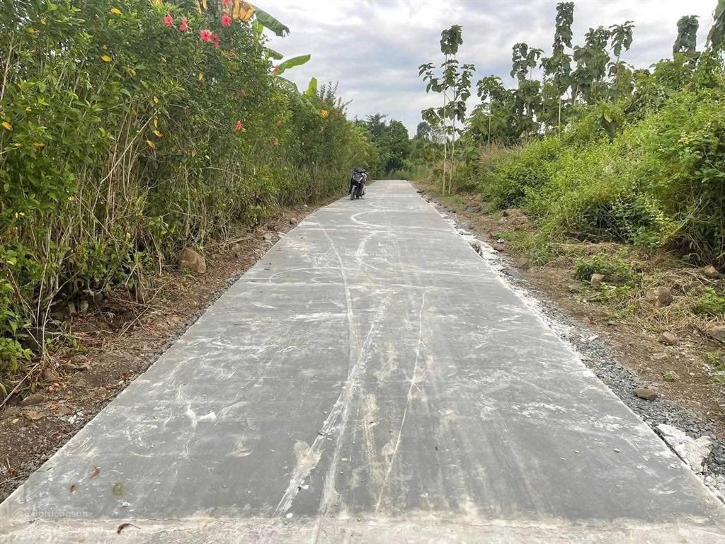 Hạ giá cần bán gấp lô đất định quán đường betong
