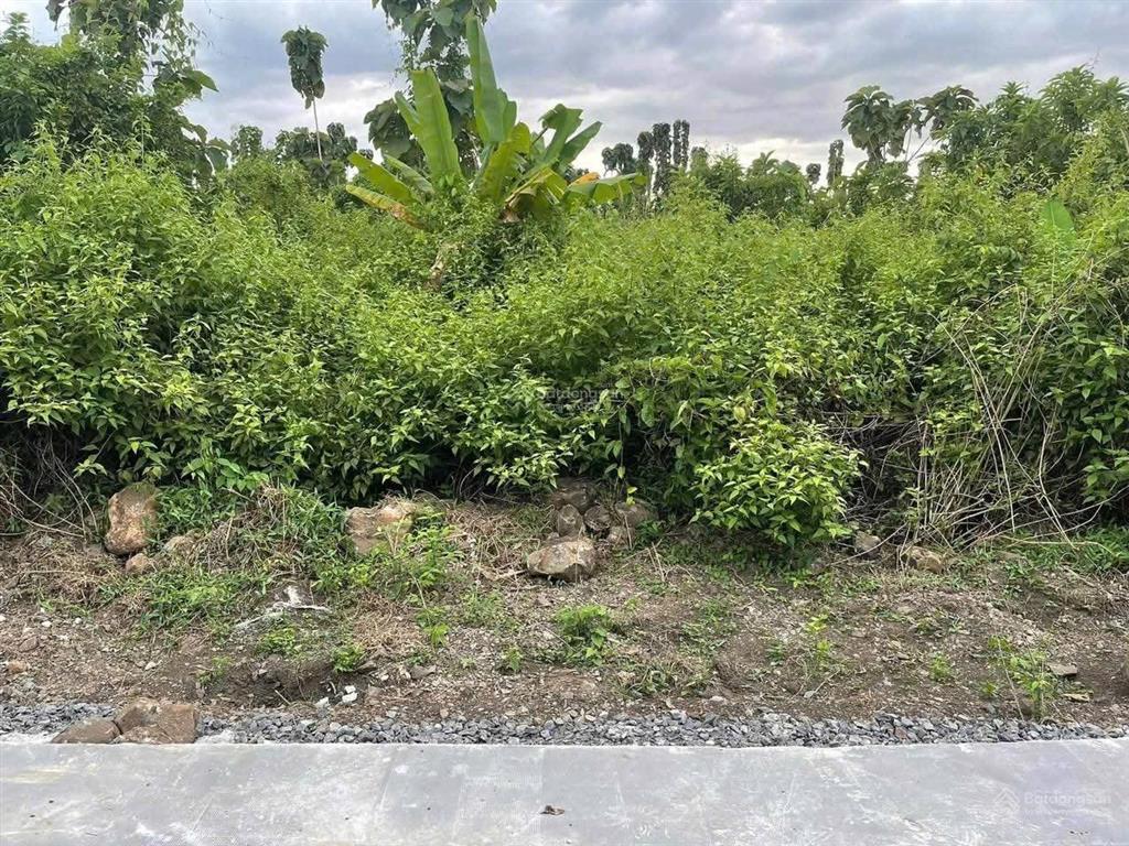 Hạ giá cần bán gấp lô đất định quán đường betong