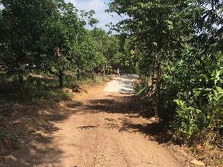 Cần cắt lỗ bán gấp lô đất vườn định quán