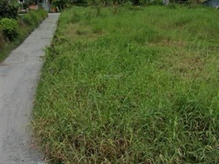 Bán đất vườn thơm, bình chánh, 18 tỷ, 1100m2, đẹp, nhiều tiện ích
