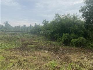 Bán đất 2600m2, 14,3 tỷ tại kênh 9, lê minh xuân, bình chánh, hcm