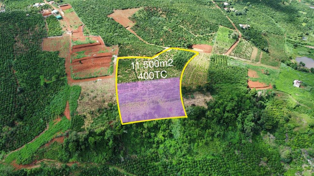 Cần nhượng lại lô đất đỉnh đồi  khu vực sông đồng nai
