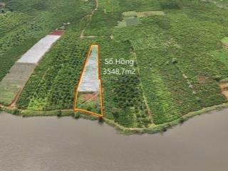 Cần bán 3,5 sào, đất giáp hồ 1019. cách trung tâm chợ mới 4km