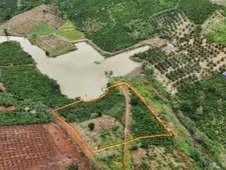 Cần bán đất vườn nghỉ dưỡng 6776m2, ven hồ tại liên đầm, di linh