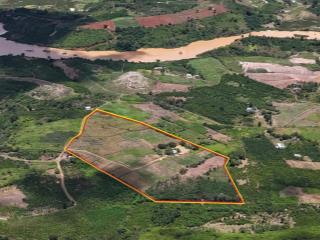 Bán 5,5 hecta đất tại xã ninh gia, đức trọng, lâm đồng