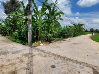 Cần bán lô góc 2 mặt tiền có 1000m2 thổ cư đường 167, bình mỹ, củ chi, 11 tỷ