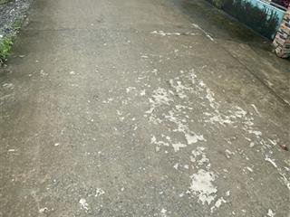 Đất cây lâu năm 250m2. sổ sẵn, đường thanh niên xung phong