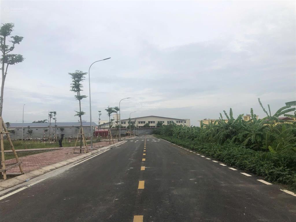 Bán 90m2 khu đấu giá an tảo, vị trí đẹp không lỗi phong thủy, giá 4,55 tỷ