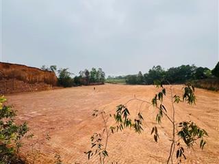 Bán lô 10.000m2 đất rừng sản xuất hai đường trước sau hướng đạo, tam dương  0987 673 ***