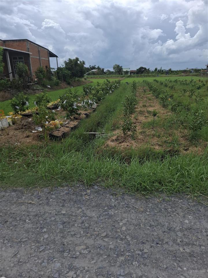 Bán đất tại thị trấn đông thành, 600 triệu, 150m2, giá cực chất